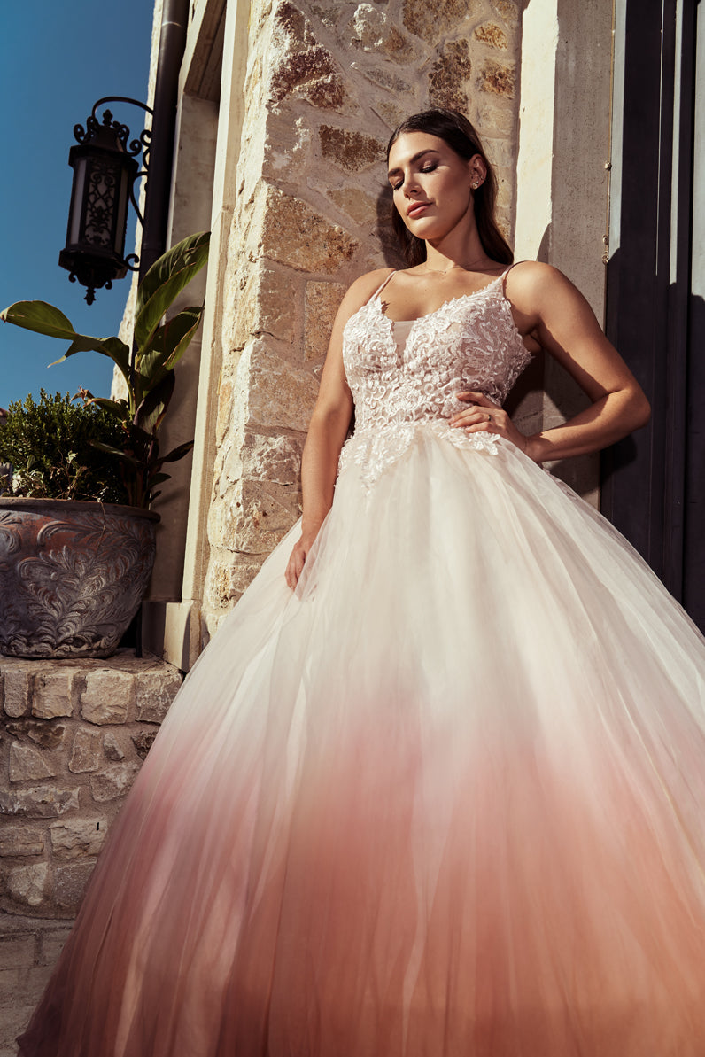blush pink dip dye ballgown aline wedding dress lace vneck