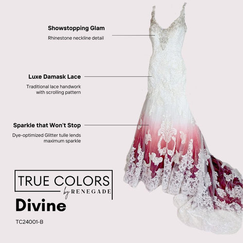 21001 Divine