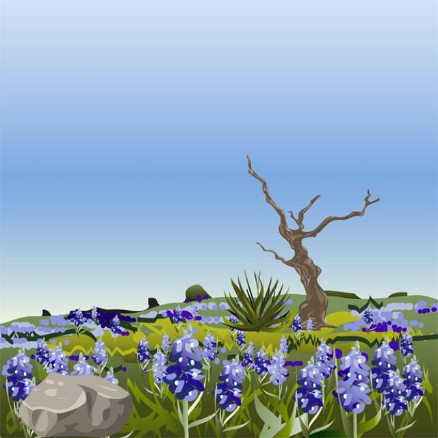 Bluebonnet field with twisted tree and agave under clear sky, Texas wildflower scene