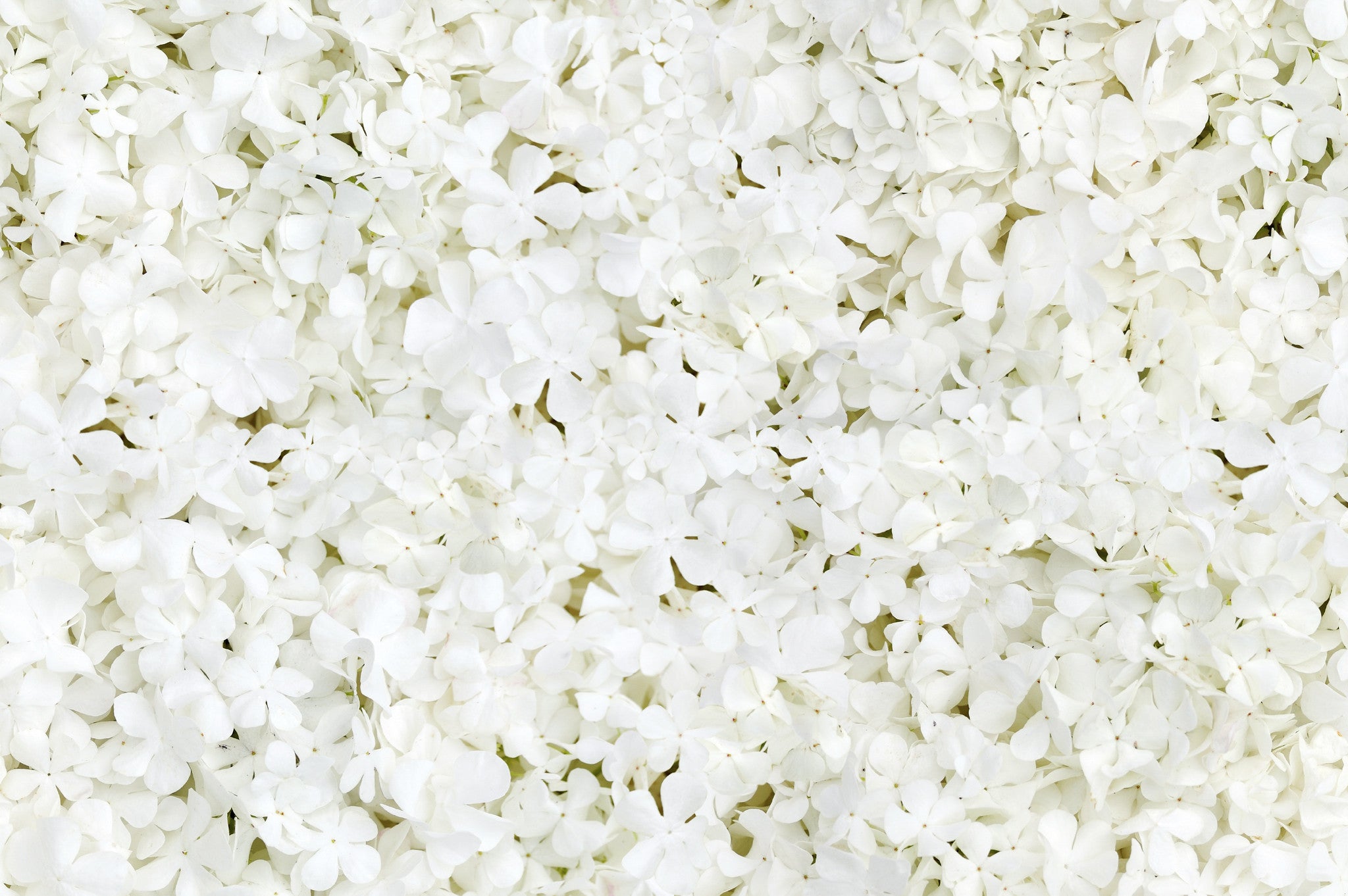 11707 Joni chiffon wrap open back gown with floral print underlay