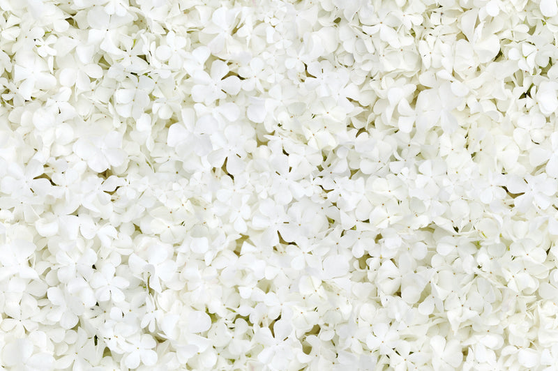 11707 Joni chiffon wrap open back gown with floral print underlay