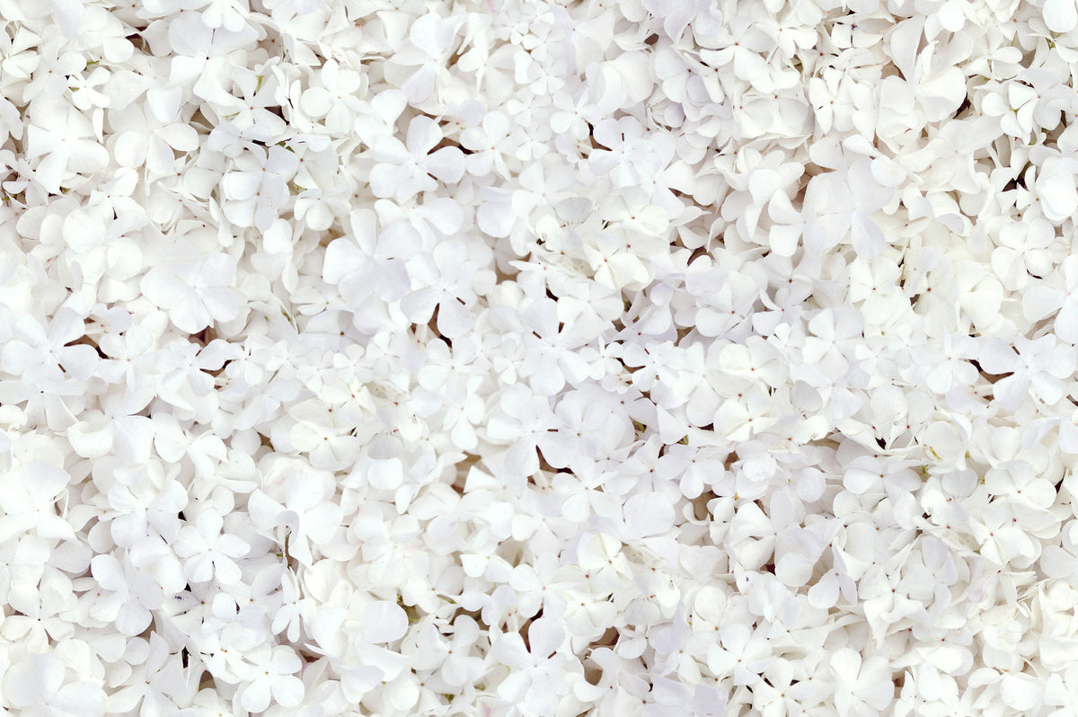 White floral background for wedding dress design inspiration